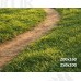 Tło fotograficzne „Letni stragan z owocami i rowerem” | 4001 Tło fotograficzne „Letni stragan z owocami i rowerem” | 4001